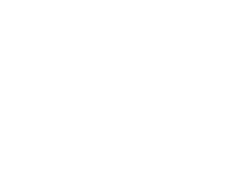 Nevada Logo